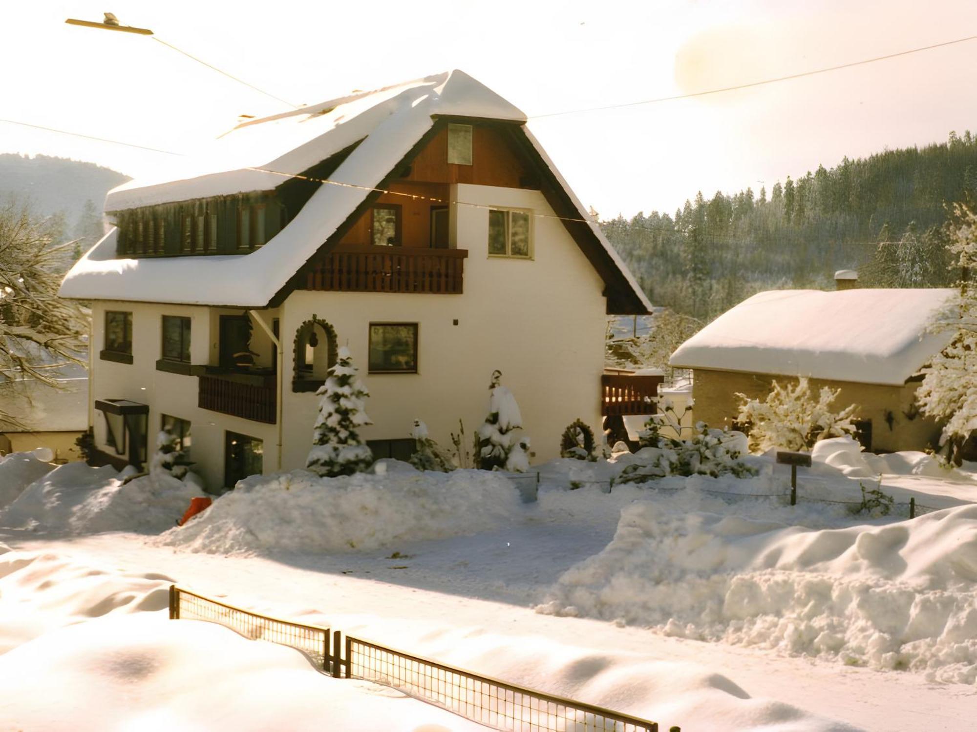 Haus Muehlgrund Daire Bad Wildbad Dış mekan fotoğraf