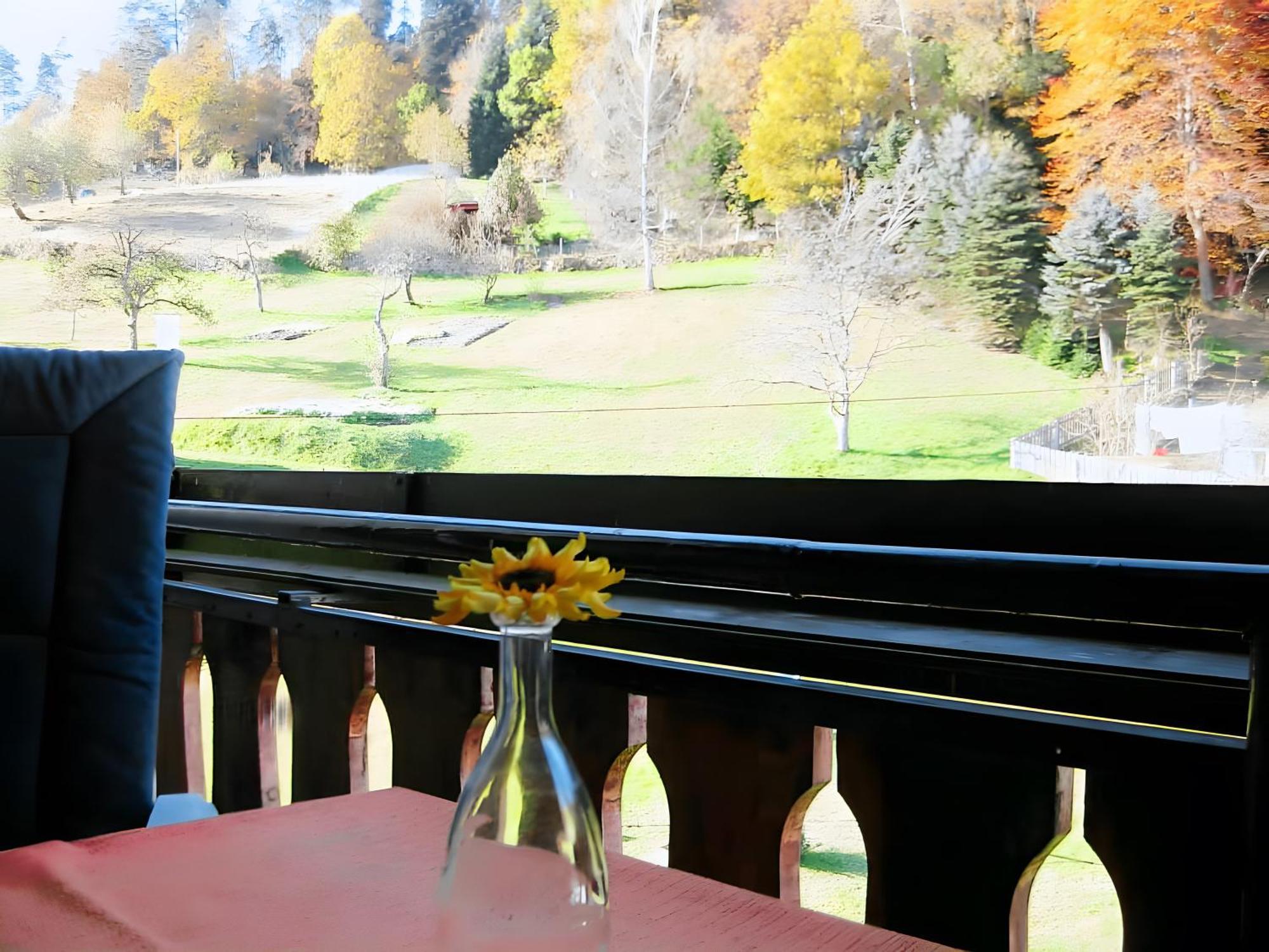 Haus Muehlgrund Daire Bad Wildbad Dış mekan fotoğraf