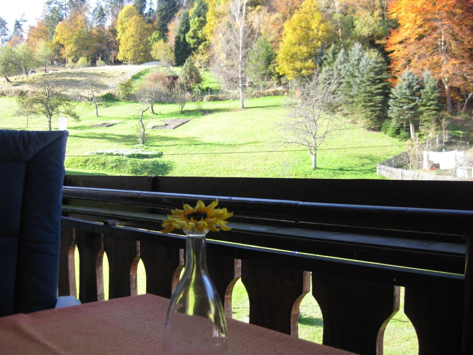 Haus Muehlgrund Daire Bad Wildbad Dış mekan fotoğraf